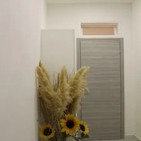 Crifea Guest house *